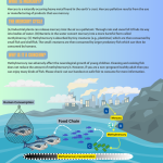mercury_in_fish_english