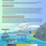 mercury_in_fish_spanish