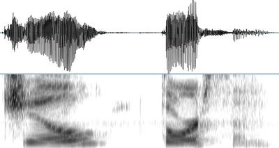 Acoustic sound wave example.
