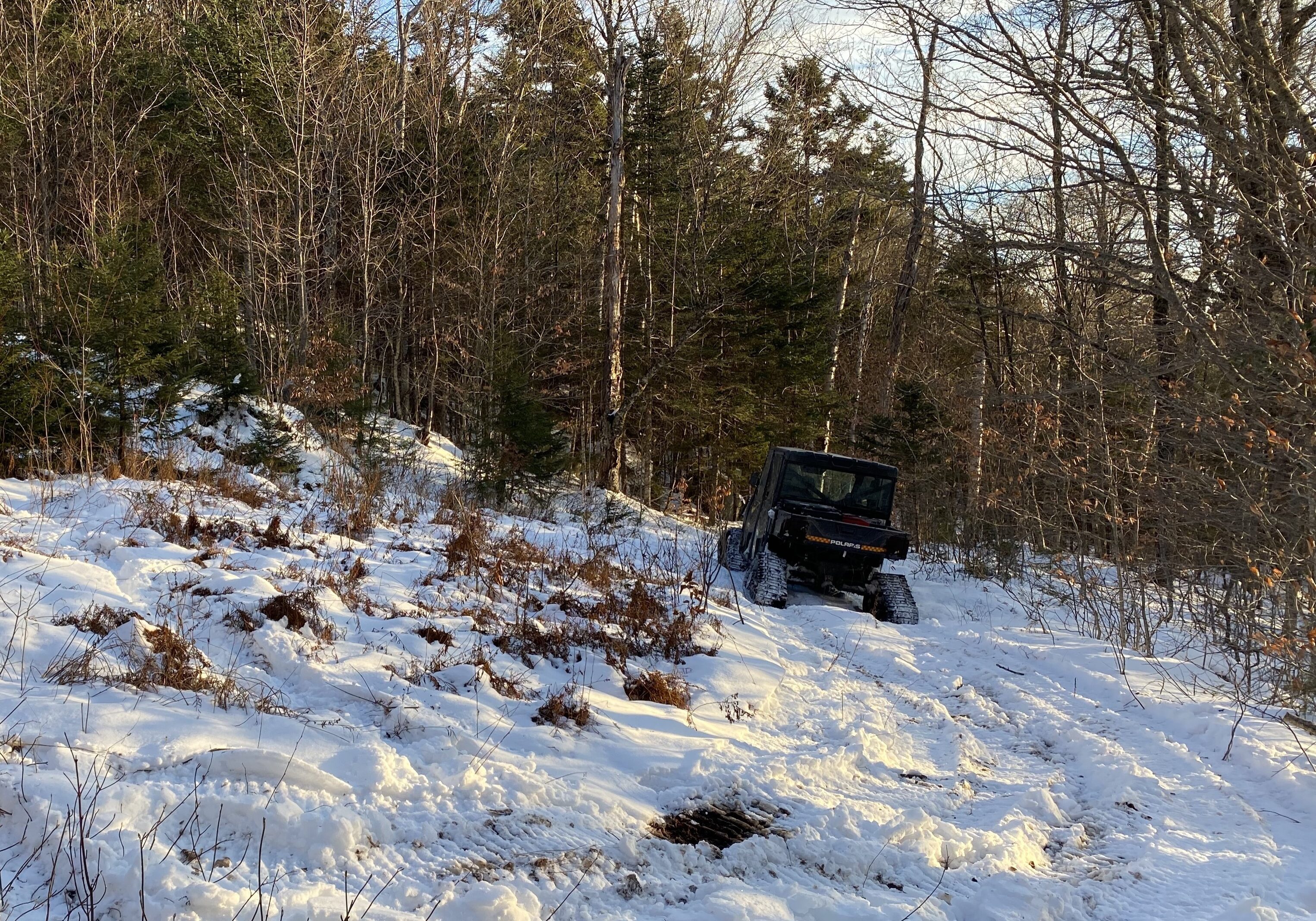 snow_hydrology_option2