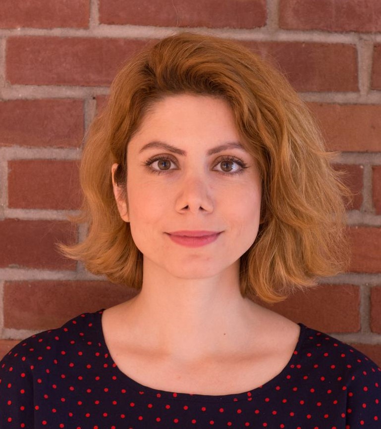 Sanam Sanei, Ph.D.

CEPS - Statistics