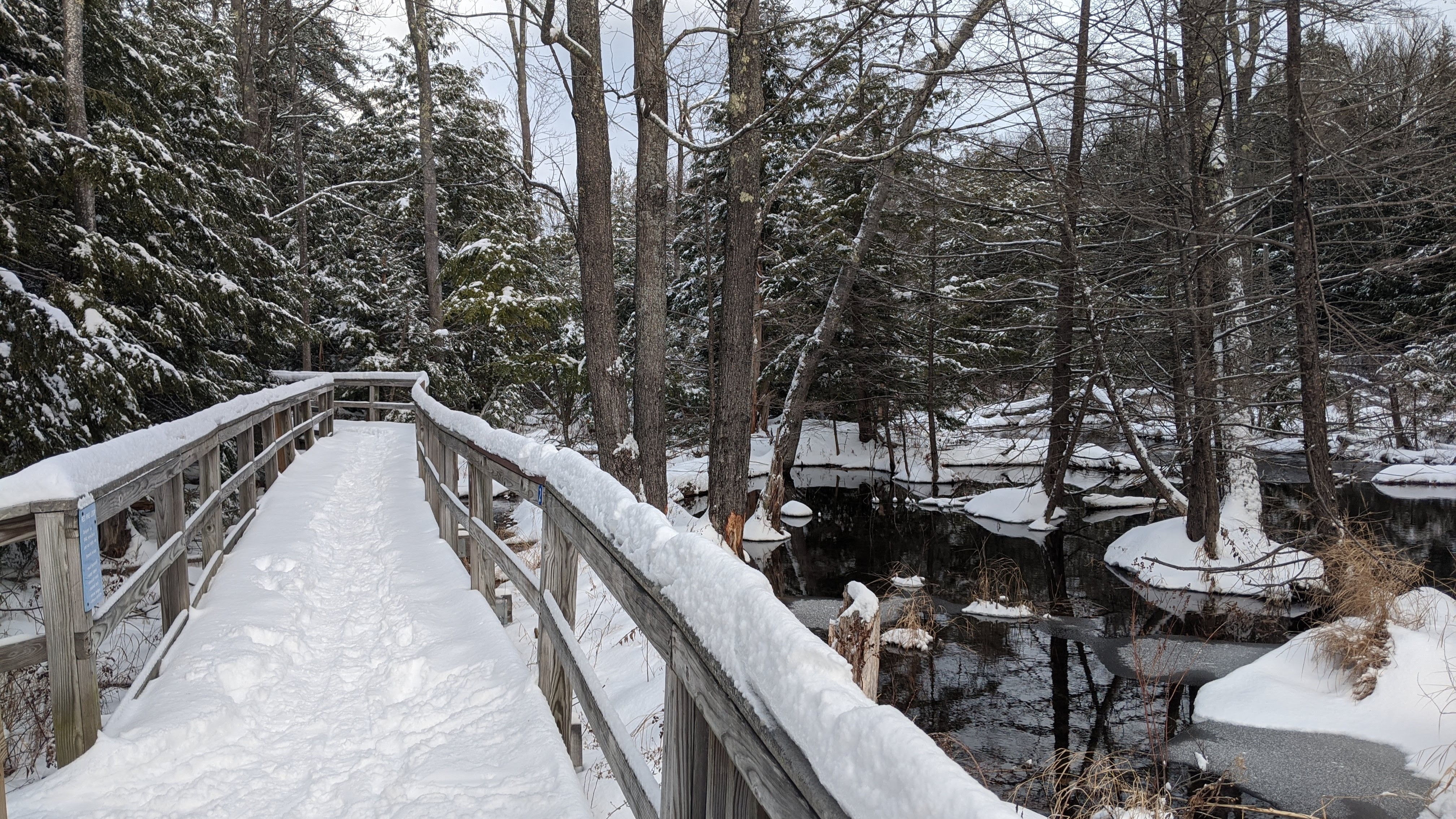 A photo looking out over a snowy forested landscape. The bridged pathway is covered in several inches of fresh snow.