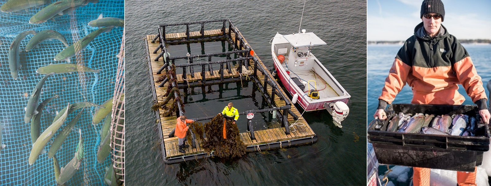 AquaFort: New Hampshire Sea Grant’s offshore aquaculture platform.
