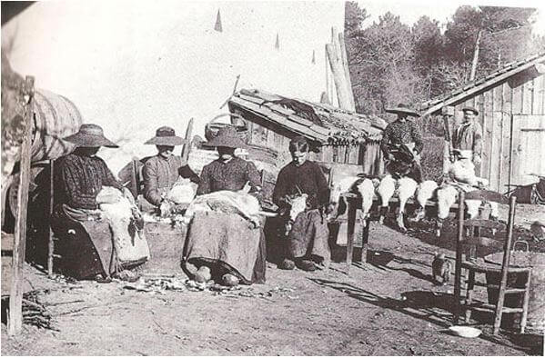 foie-gras-sud-ouest-histoire
