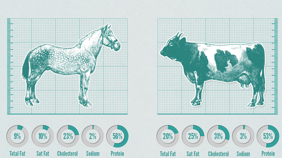 The great horse meat scandal infographic.