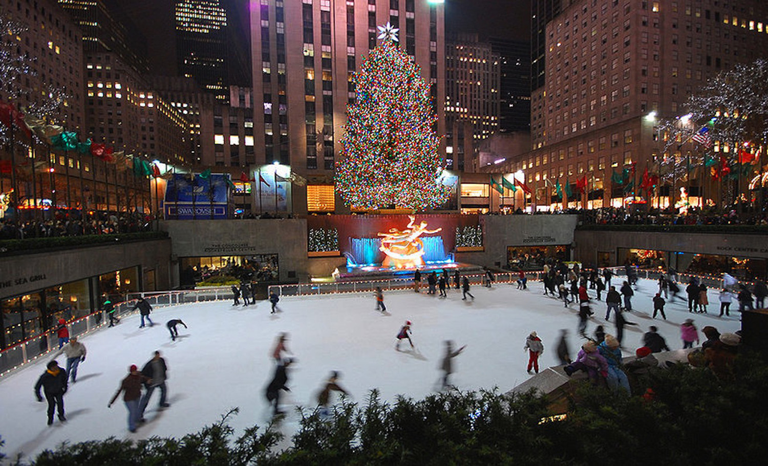 rockefeller-center-christmas-tree