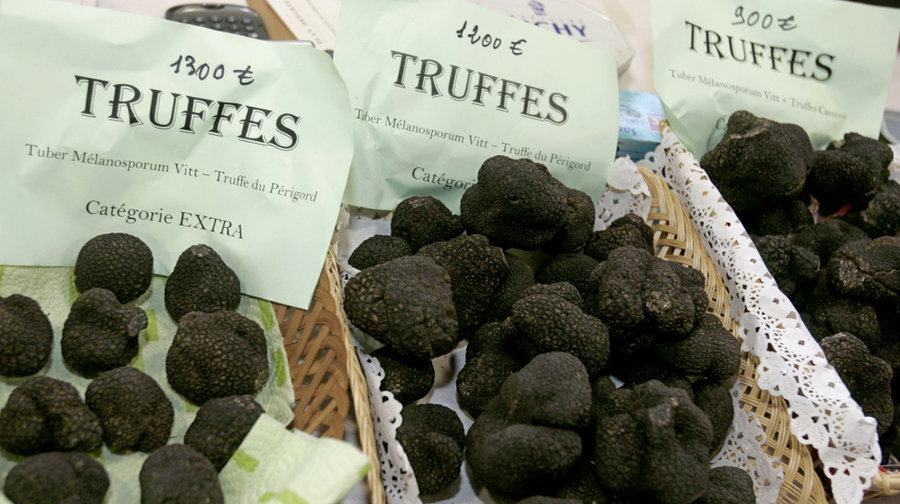 truffles_wide-fa0ee8fdcbcfa85b222fa50e9211967acb438815-s900-c85