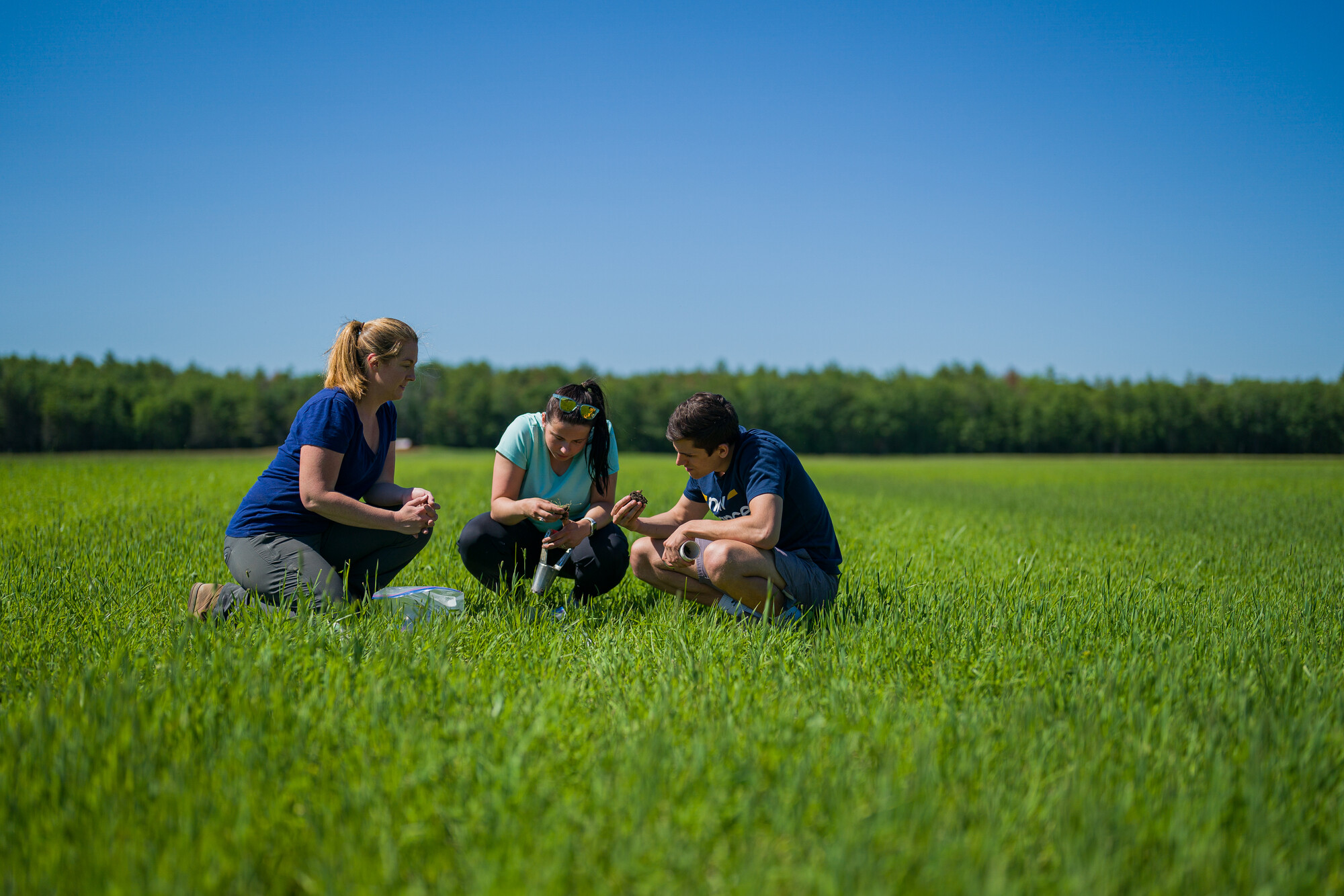 We investigate how microbial communities affect carbon cycling and nutrient turnover by linking shifts in microbial communities and their physiology to changes in ecosystem processes, such as carbon cycling and nutrient turnover.