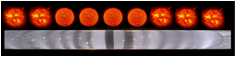 solar-variability