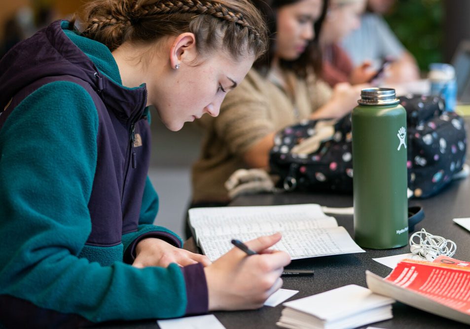 unh-student-studying