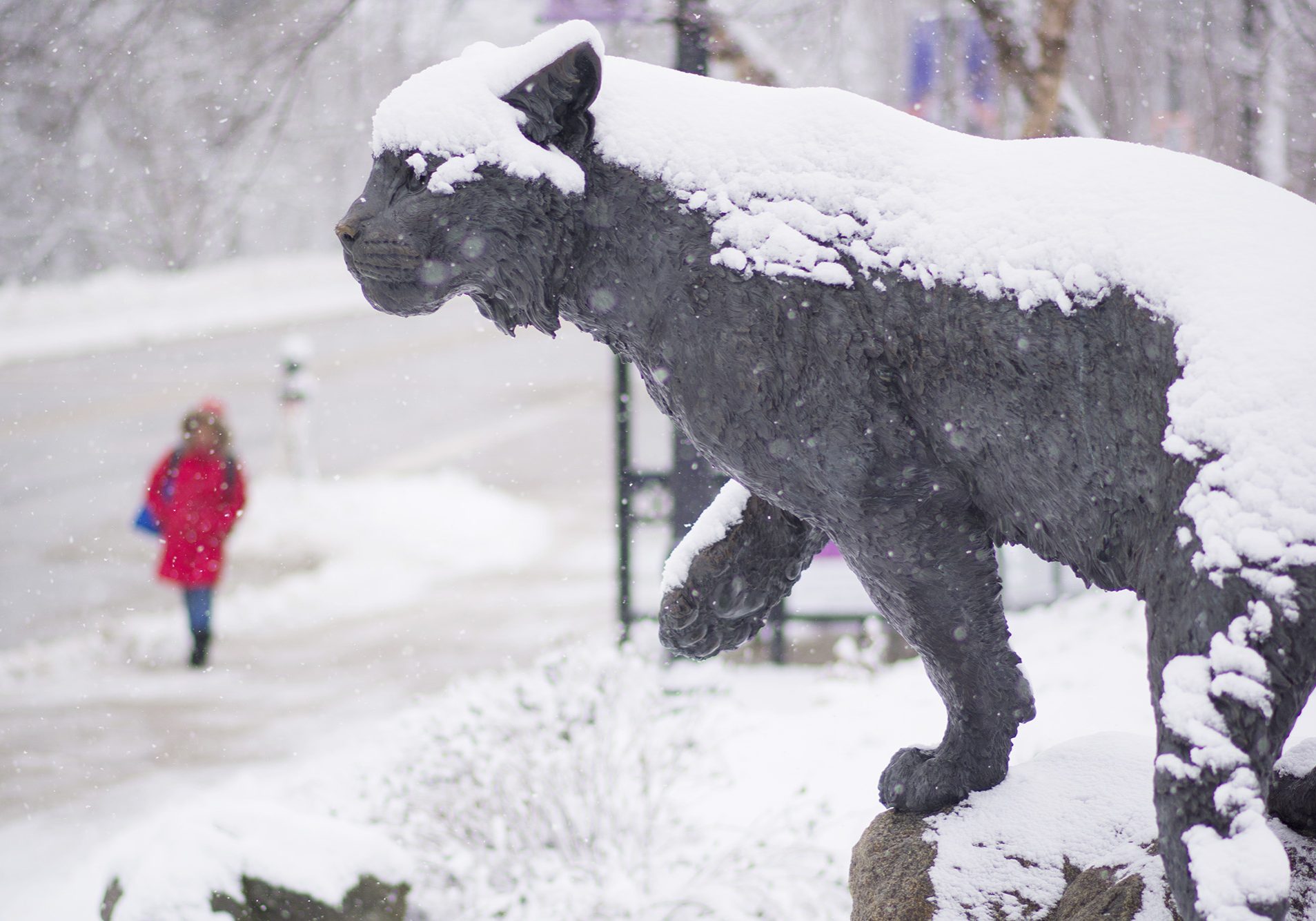 wildcat-statue-in-the-snow