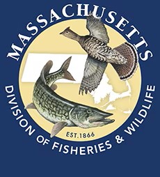 MassWildlife_web_logo_230