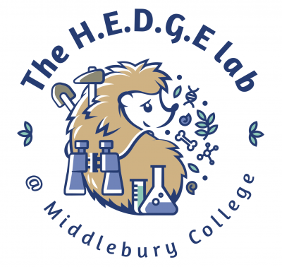 hedge