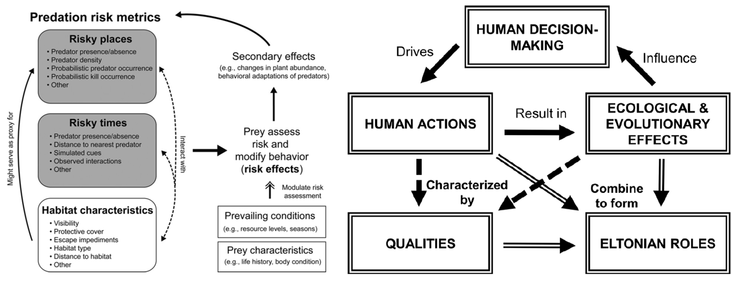 framework