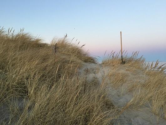 dunes