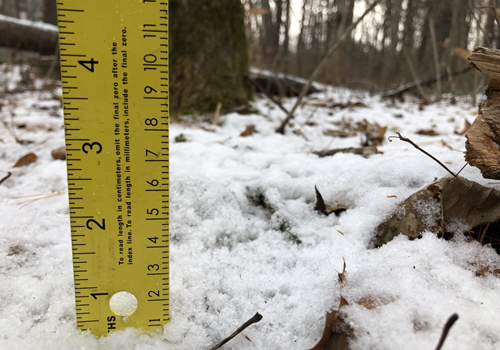 IMG_0460_Ruler_Resized