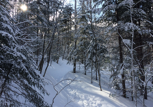 IMG_6283-2_snowy_path_resized