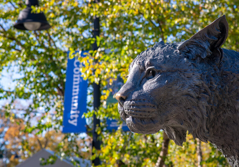 UNH Wildcat Sculpture