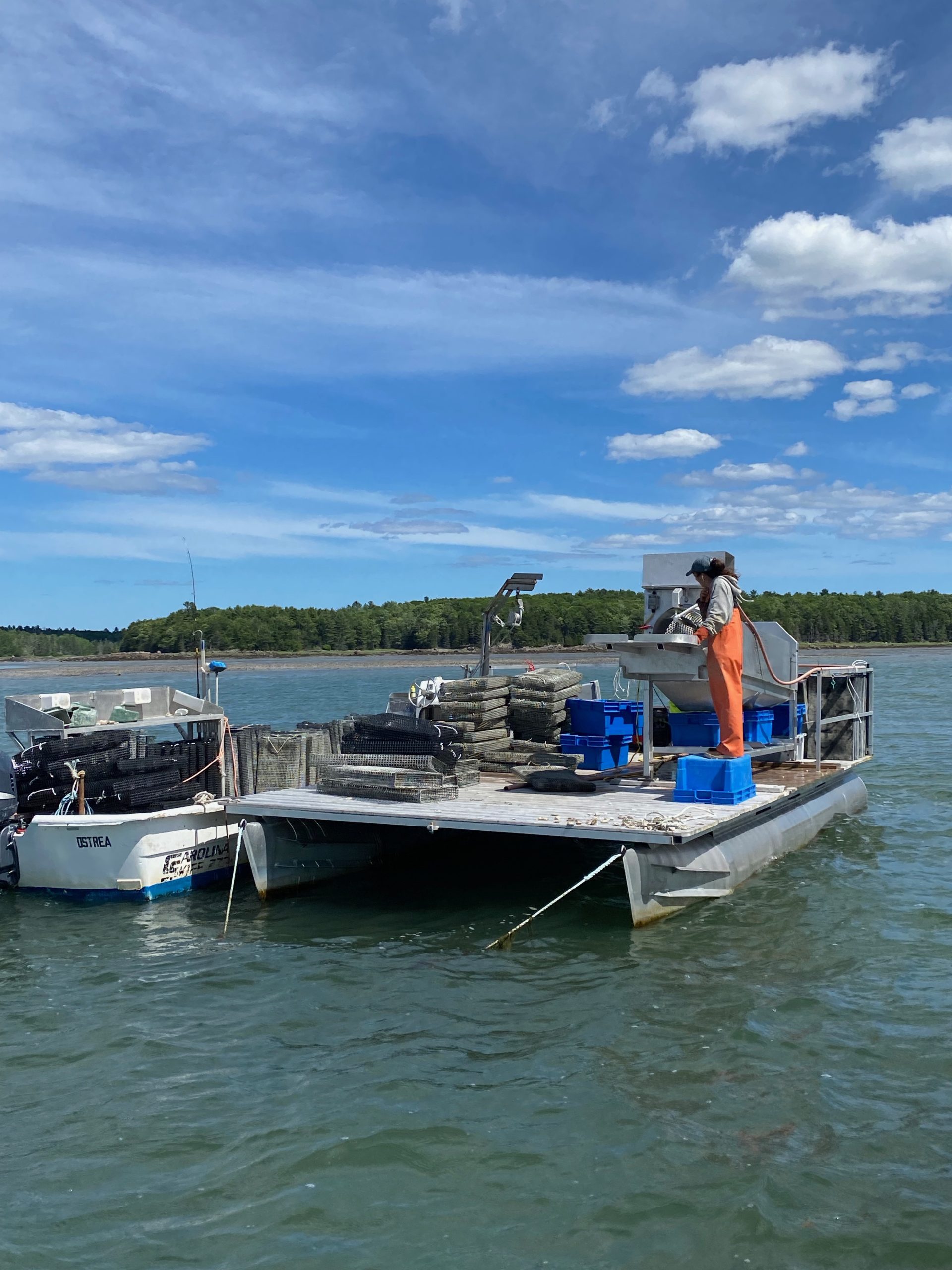 GiuliaWorkBarge