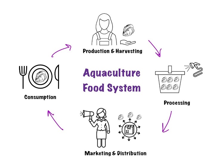 Photovoice case study participants engage in all sectors of the food system (Lord, 2022)