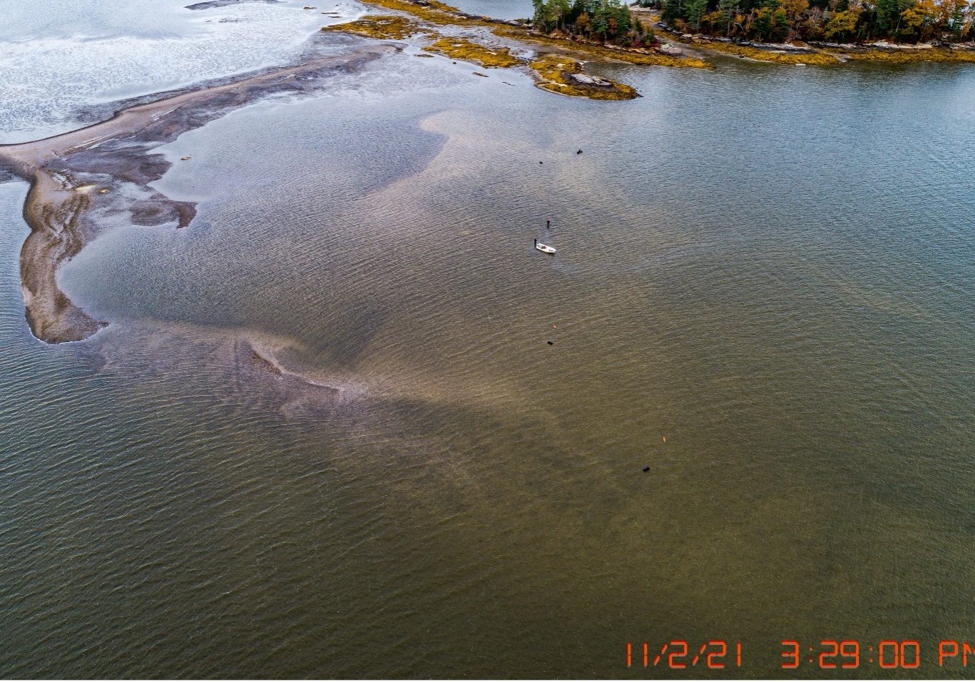BirdsEyeView (1)