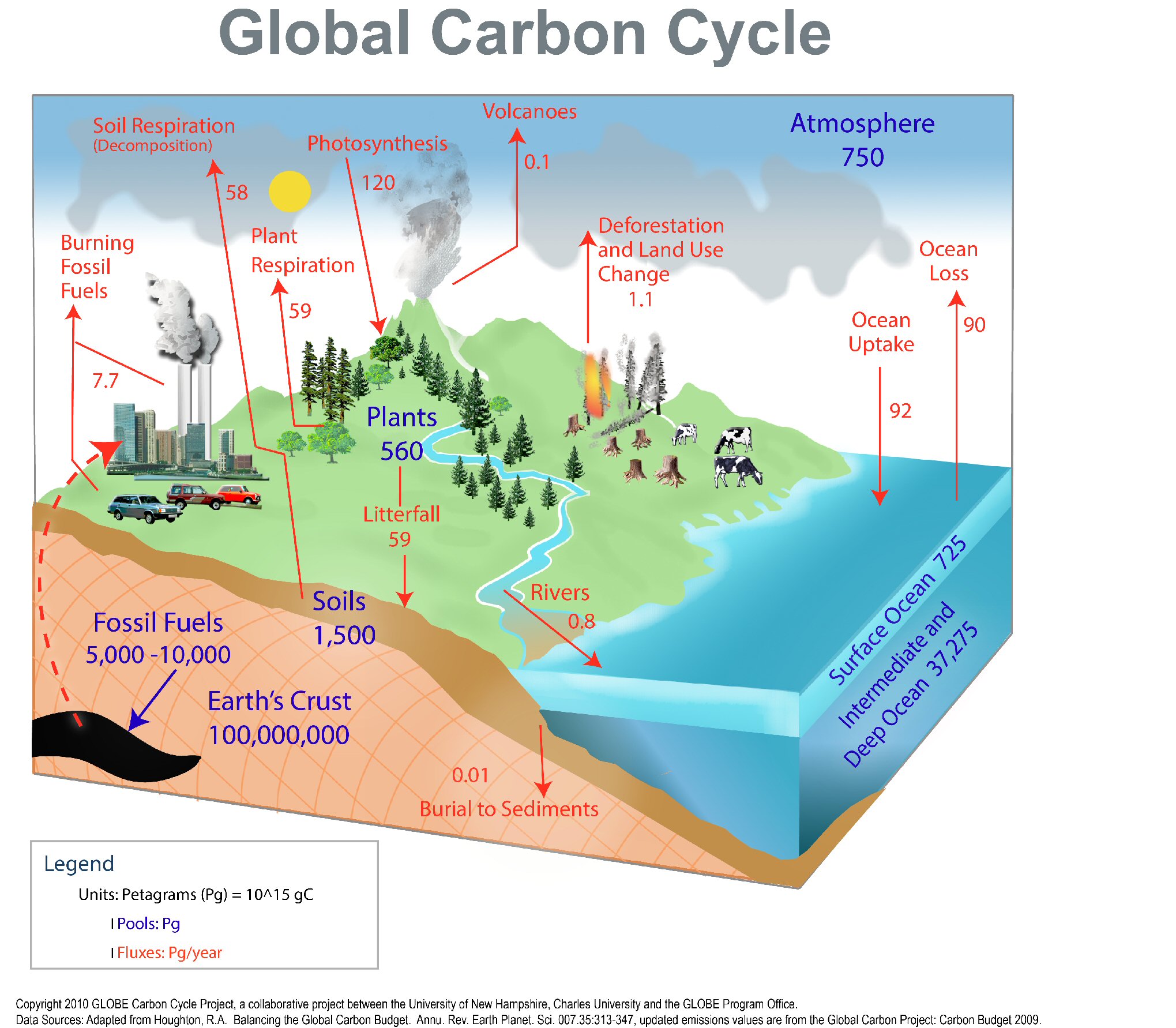 outreach & education – Terrestrial Ecosystems Analysis Lab