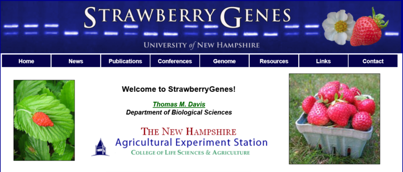 strawberrygenes_banner