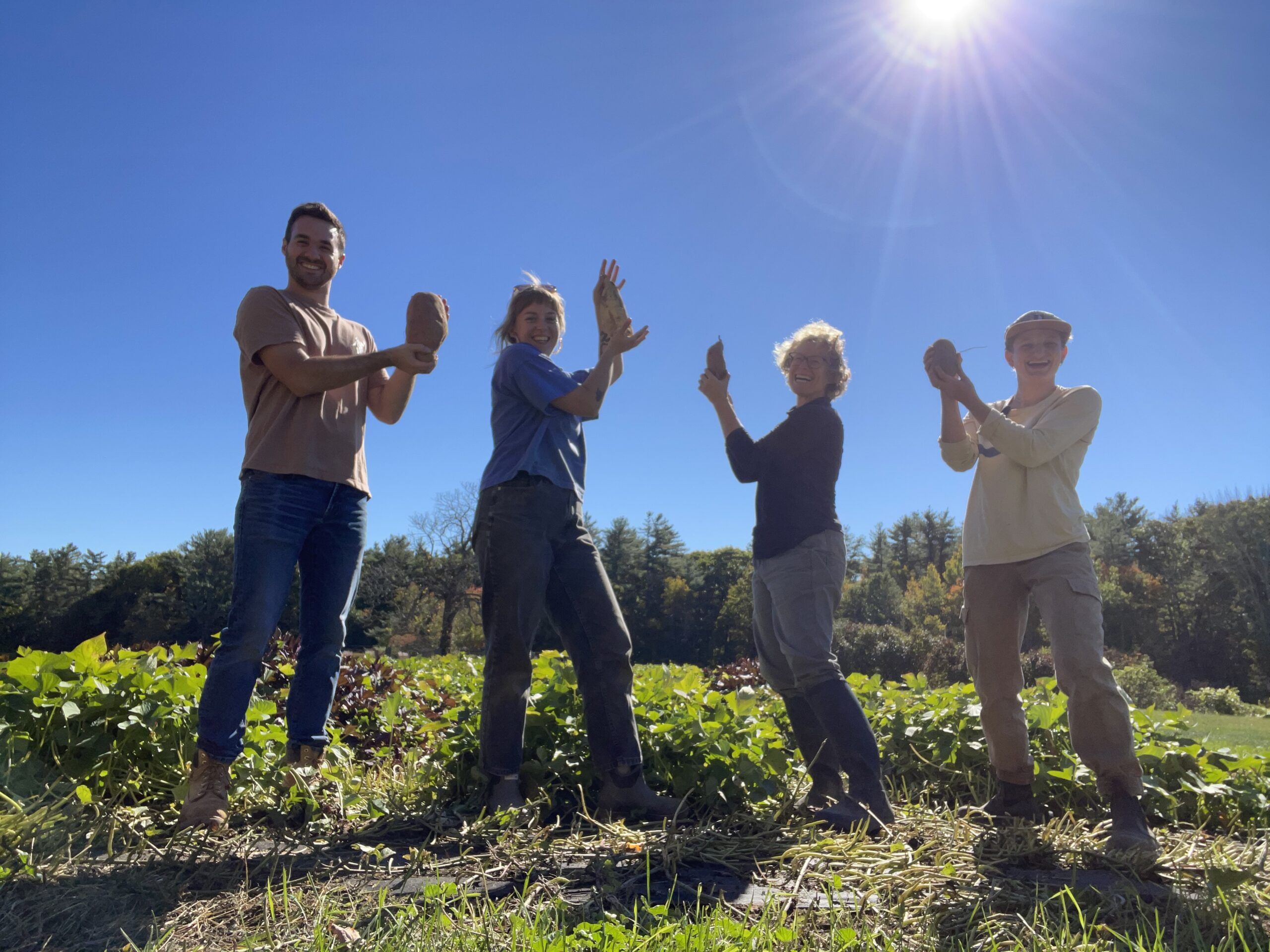 people in a field