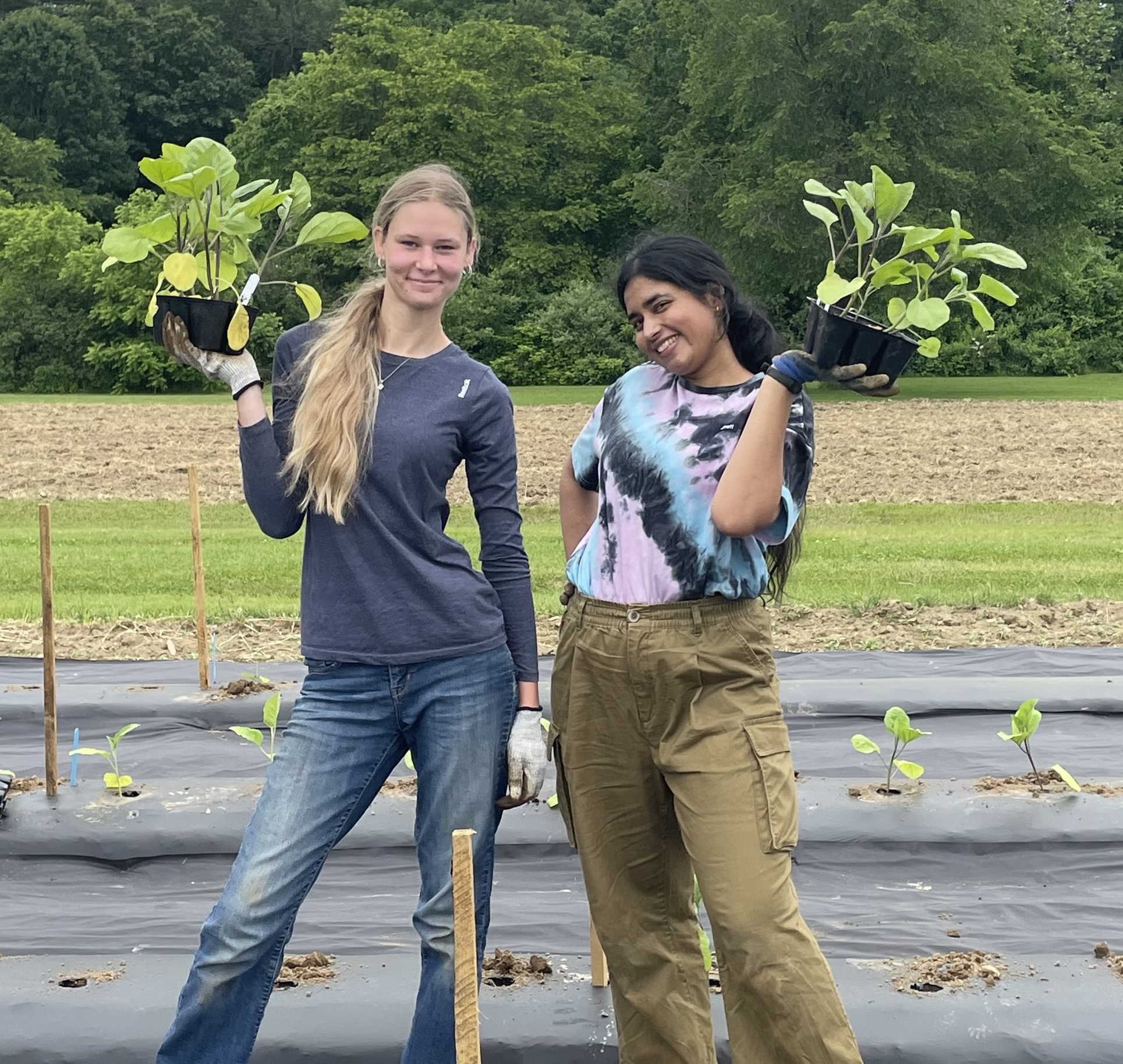 two people holding plants