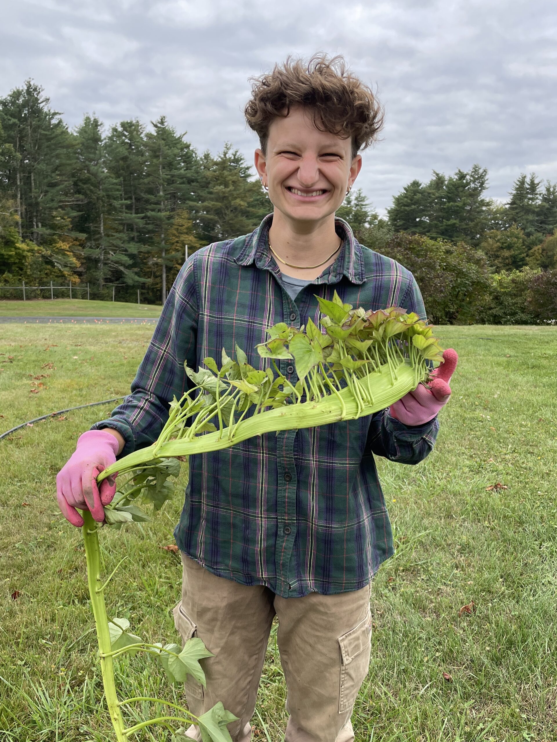 Lilly Lily holding a sweetpotato stem
