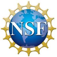 nsf (1)