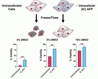 varga_biomolecules2022_gif