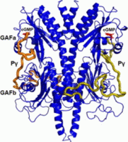 varga_jmolbio2020-2_toc